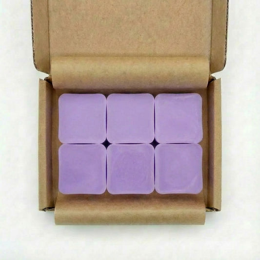 Dewberry 1980s favourite from The Body Shop Scented Wax Melts