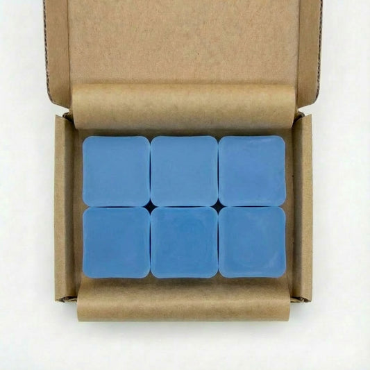 Smells Just Like - Sauvage Scented Wax Melts