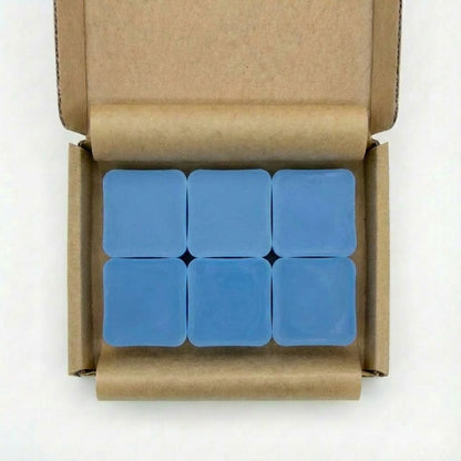 Smells Just Like - Sauvage Scented Wax Melts